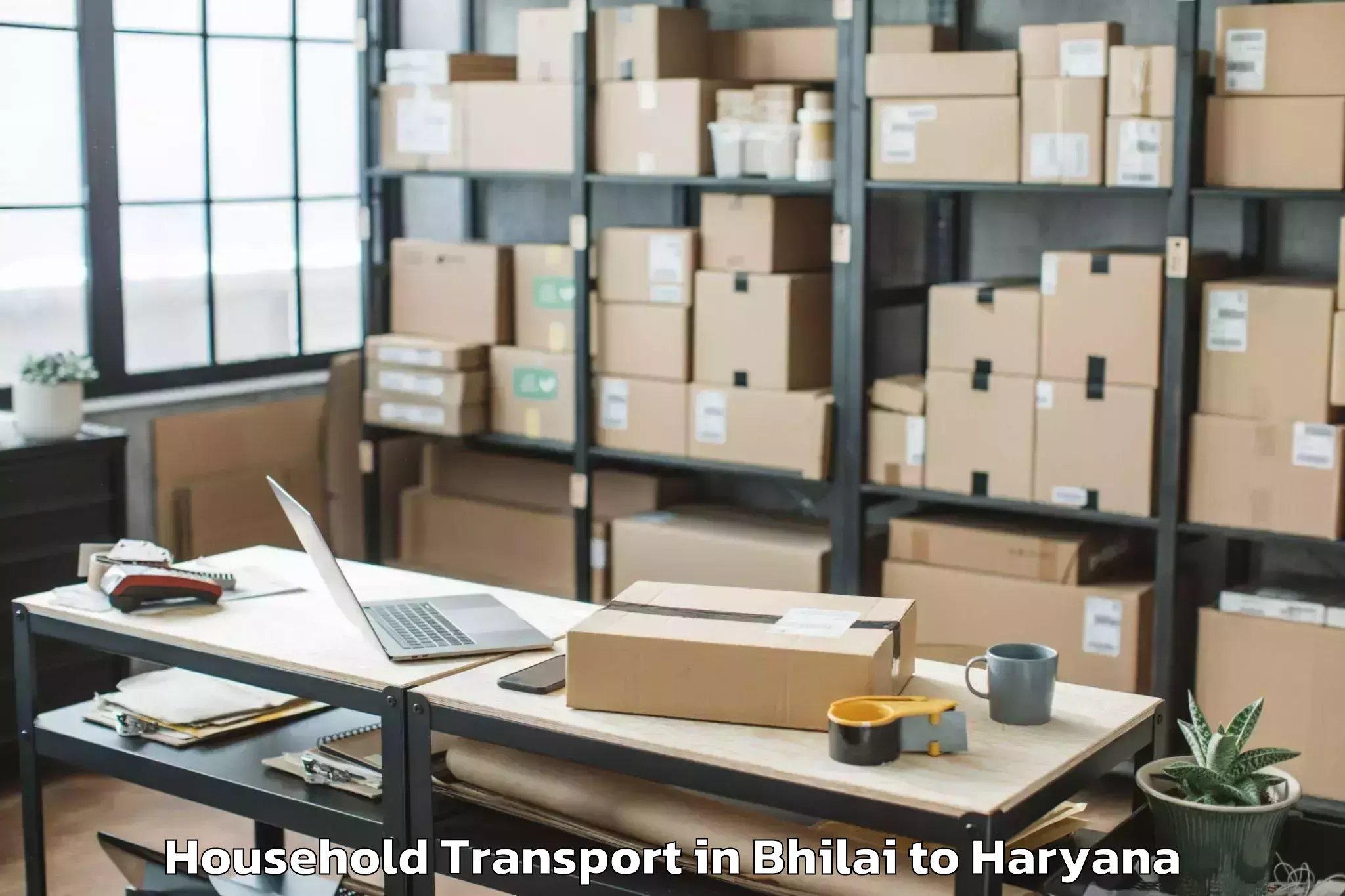 Comprehensive Bhilai to Dlf City Centre Mall Gurgaon Household Transport